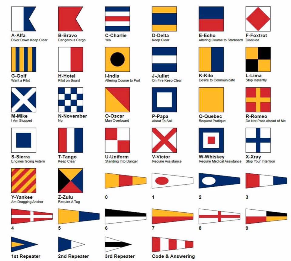 history1
